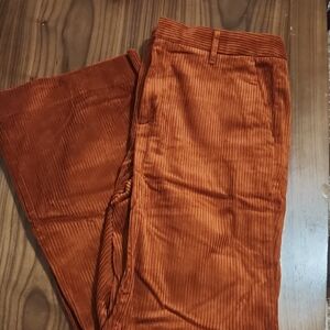 Banana Republic Corduroy Pants in Warm Rust